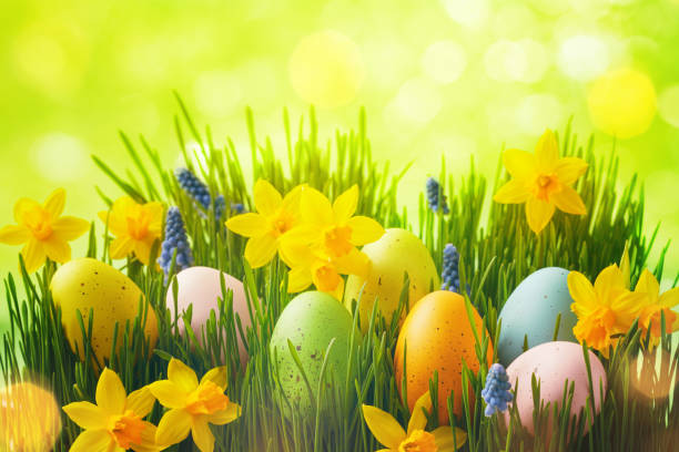 Easter / Spring